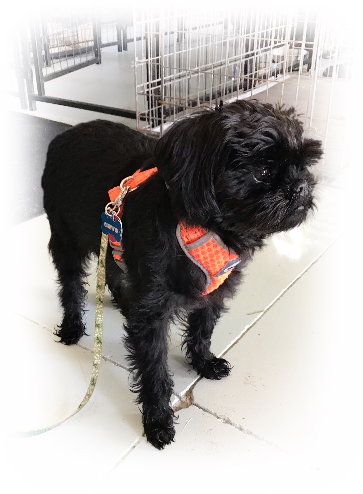 First Time at&nbsp;Daycare