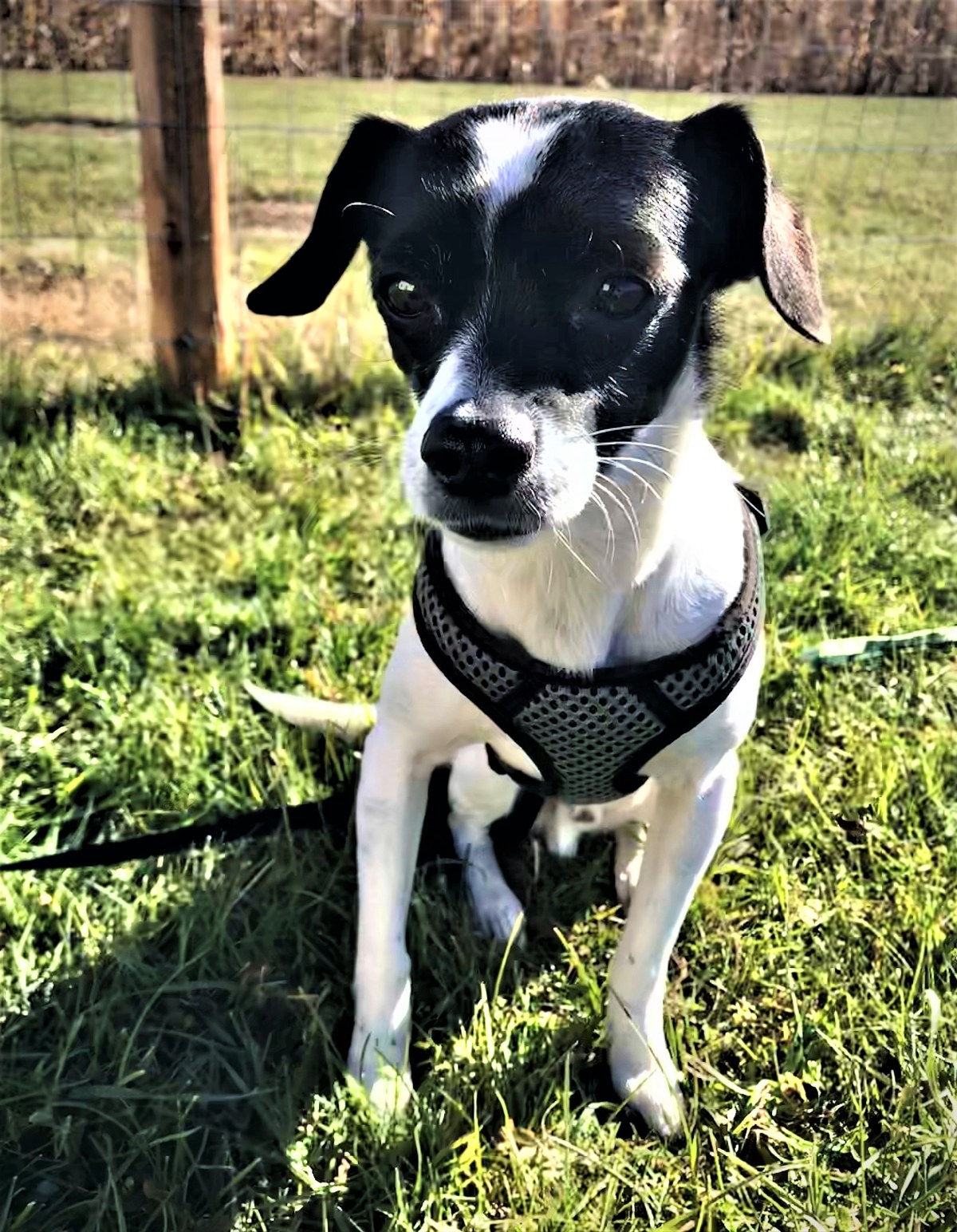 Play Fair at&nbsp;Daycare