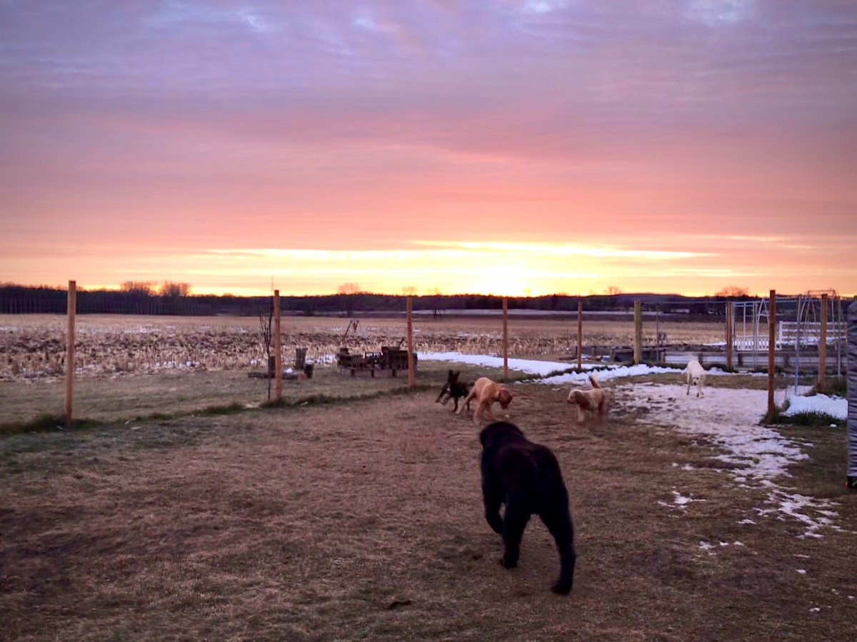 A Beautiful End to a Beautiful&nbsp;Day