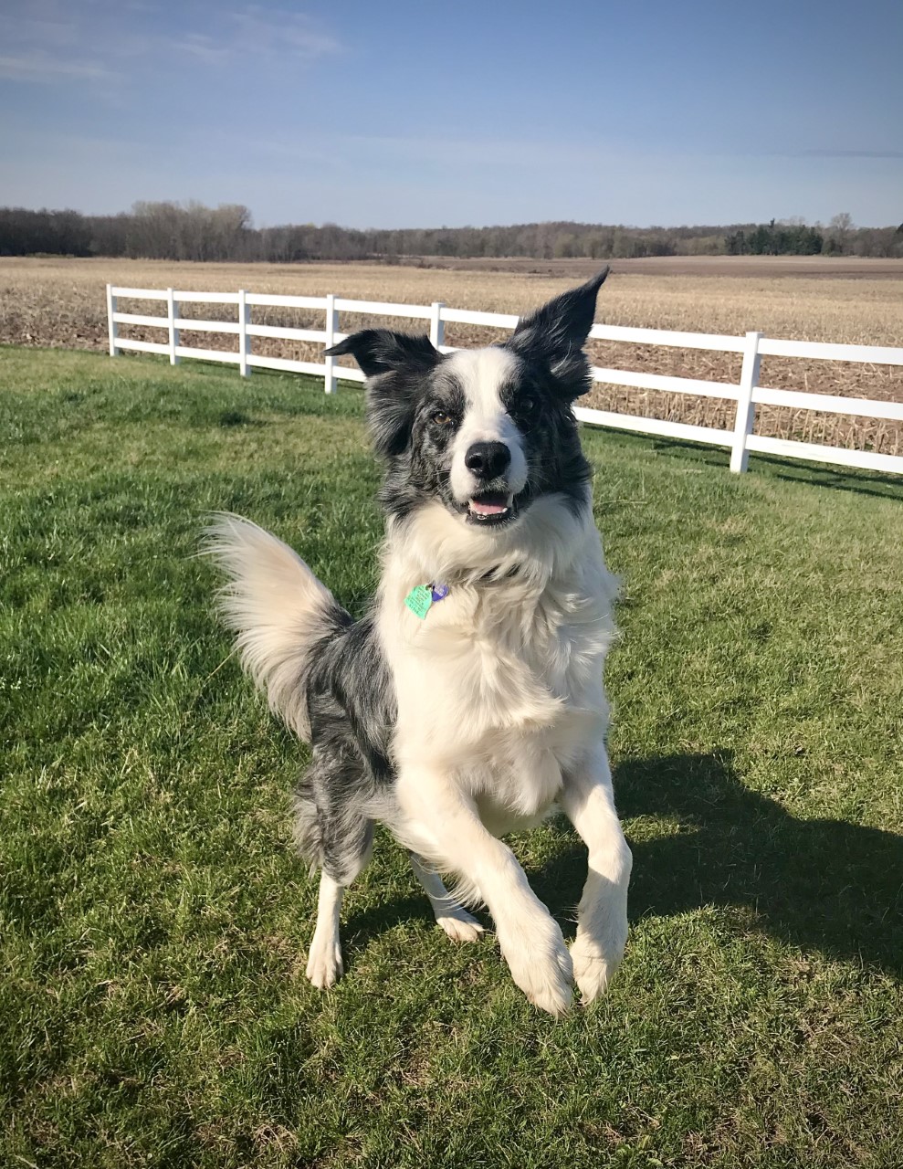 Jumping into Classes