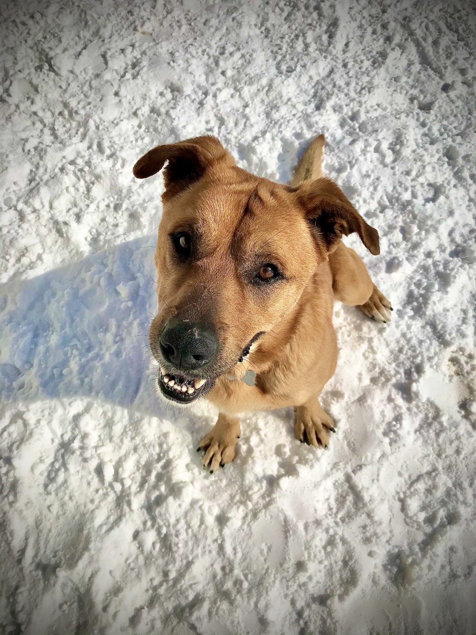 Looking for a&nbsp;Home