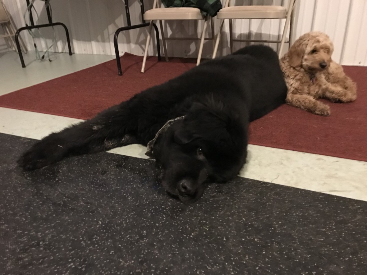 Stay, Over the&nbsp;Holiday