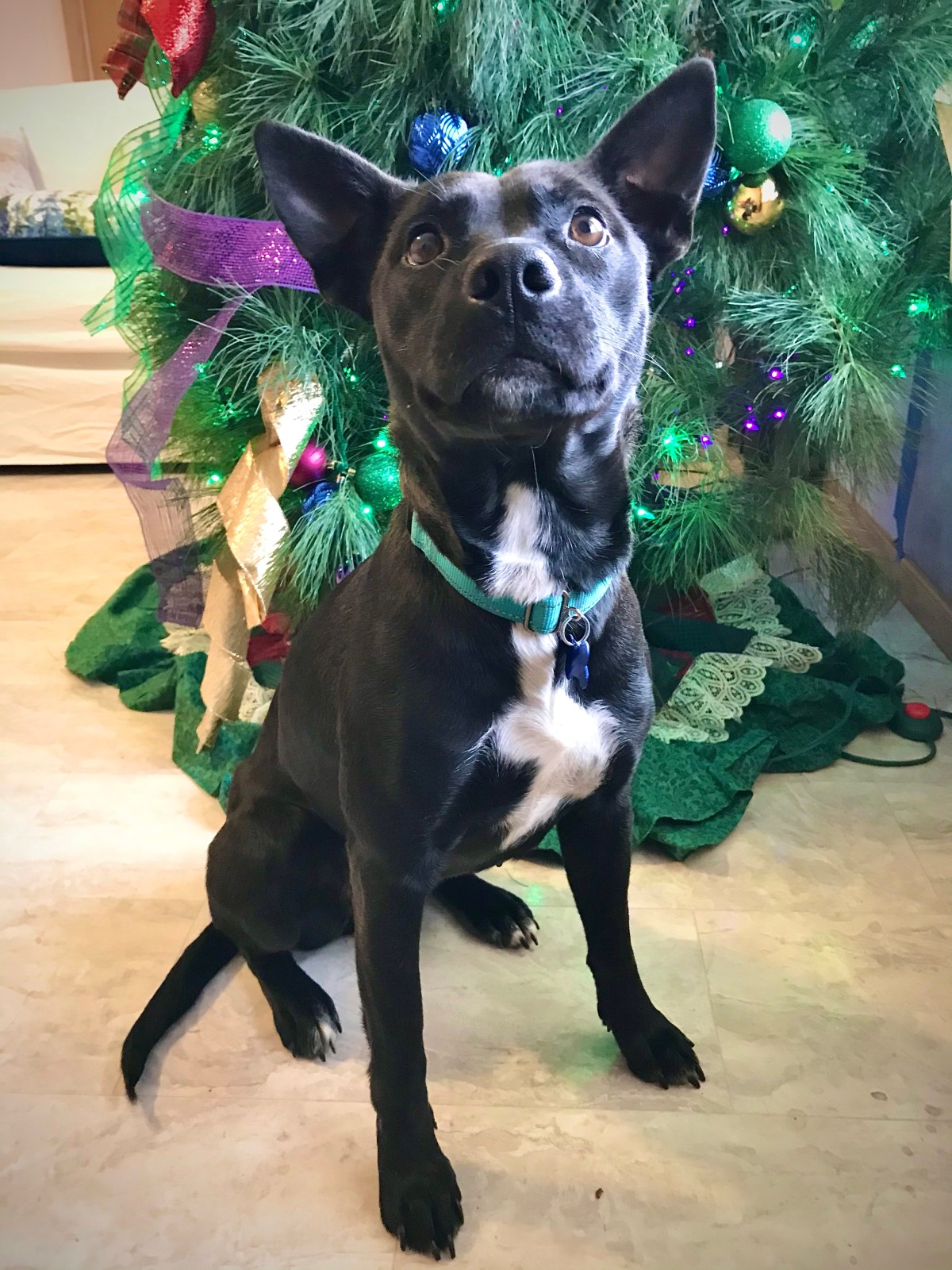 Home for the&nbsp;Holidays